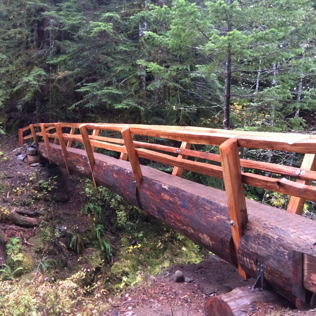 Redwood Bridge. Seriously one of the coolest bridges I have seen.