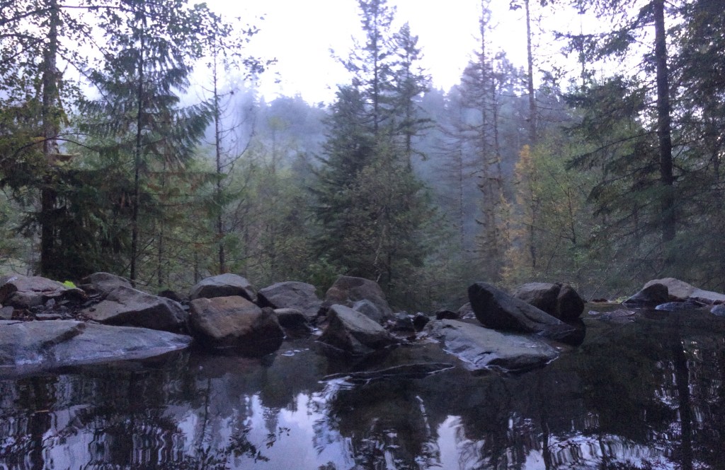 Watching the steam rise into the forest from our own little hot spring.