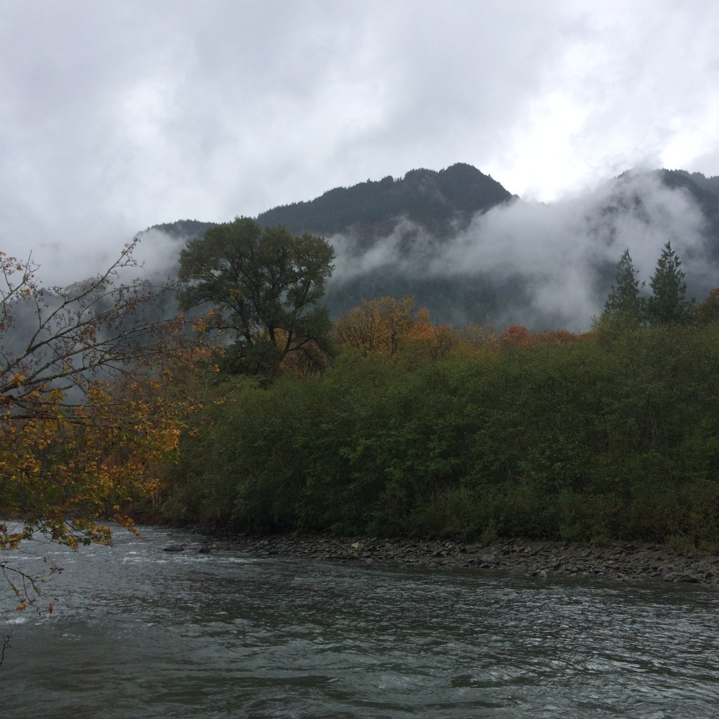 Fall Elwha River Views 