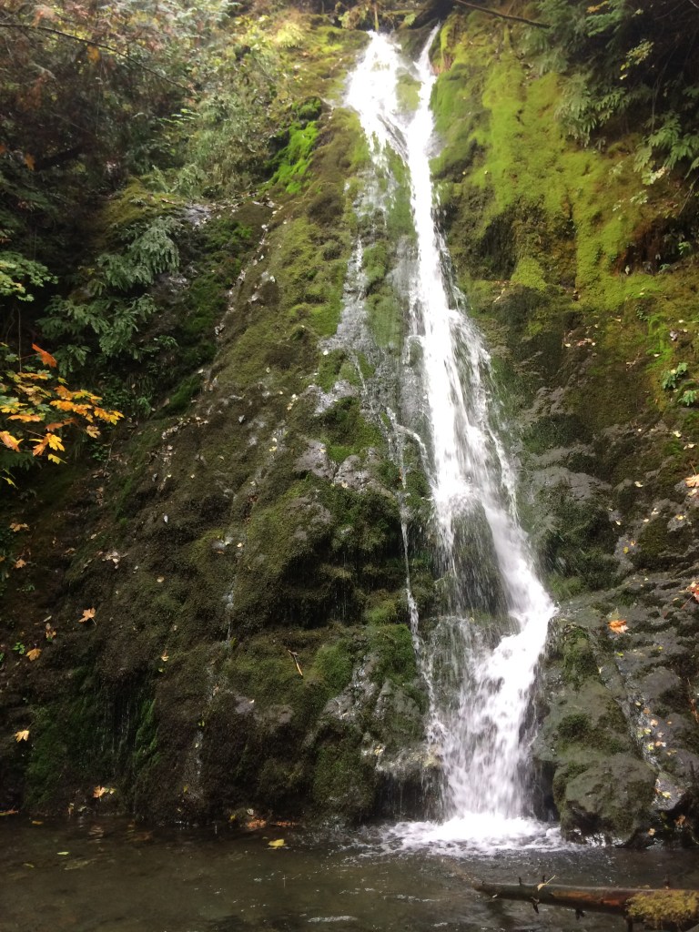 Madison Falls Now I won't tell you that there IS a troll cave around here, but there just might be one.. check it out.