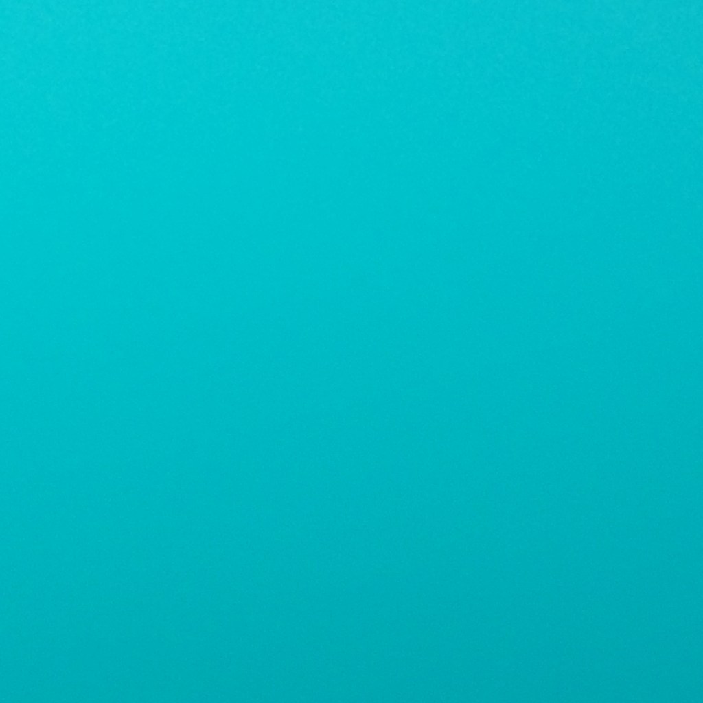 I chose to include this picture in this post because this is the color of the water in Lake Crescent. STUNNINGLY BLUE.