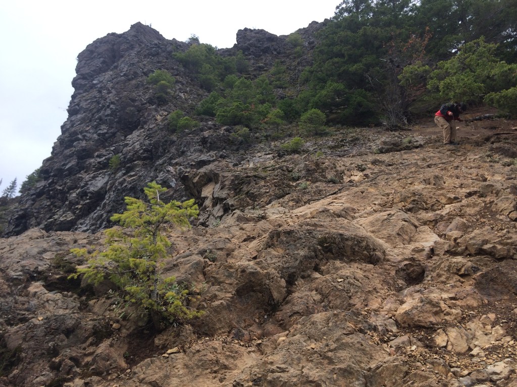 I can tell you that this trail goes UPHILL. Devin in currently ahead of me in this photo.