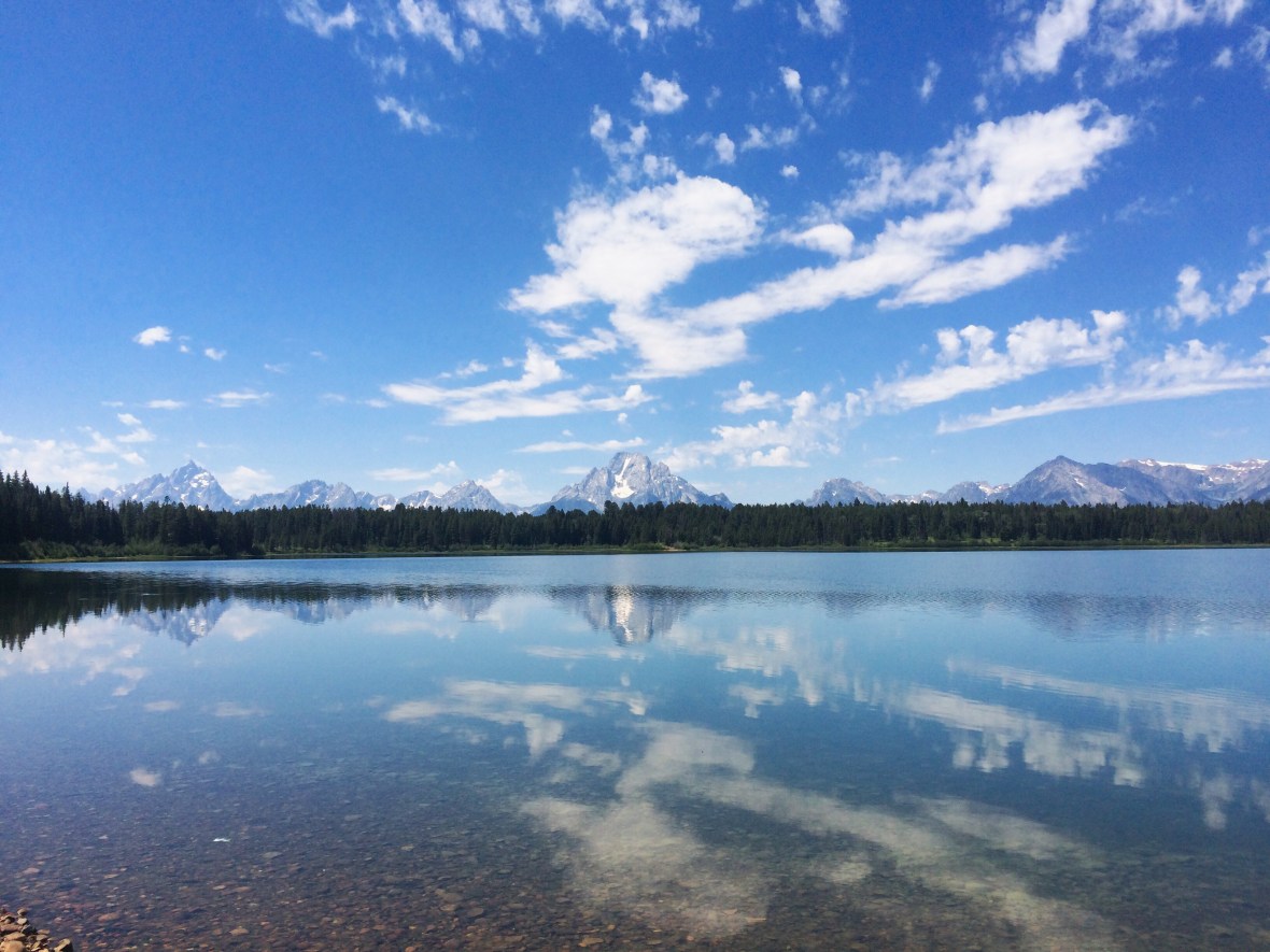 Processed with VSCOcam with wwf preset