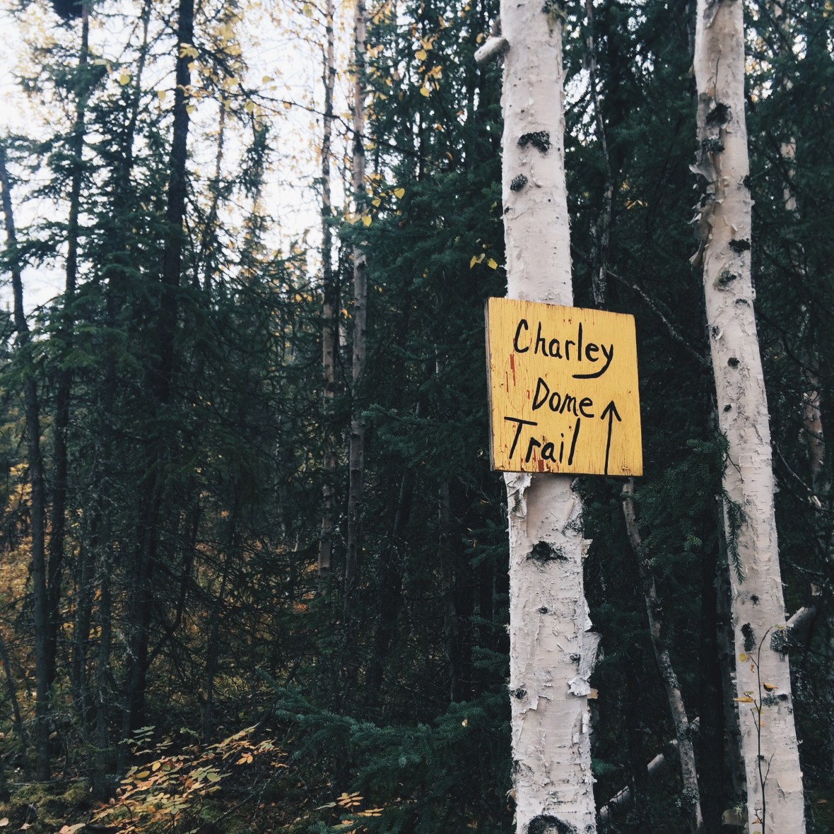 Processed with VSCOcam with hb2 preset