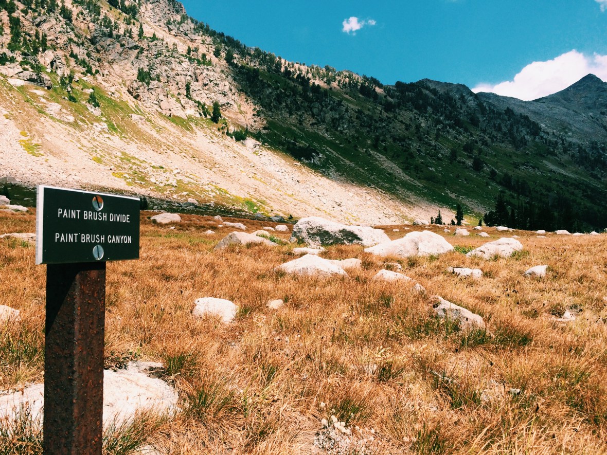 Processed with VSCOcam with c1 preset