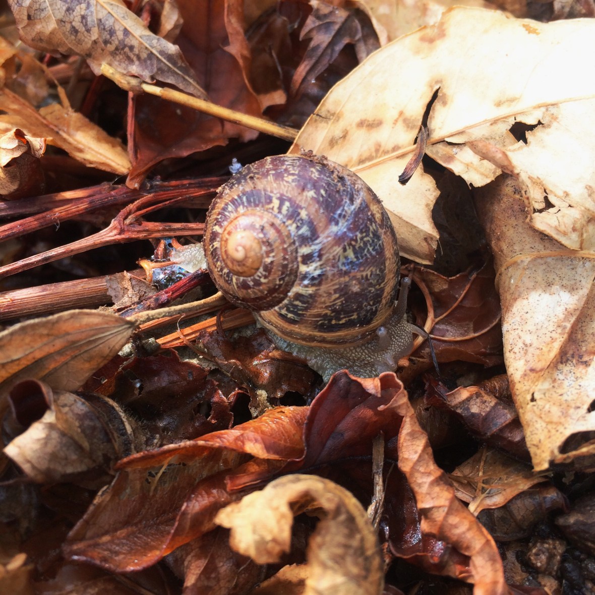 Processed with VSCOcam with wwf preset