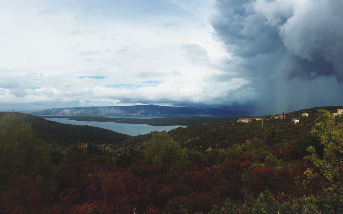 Processed with VSCOcam with lv01 preset