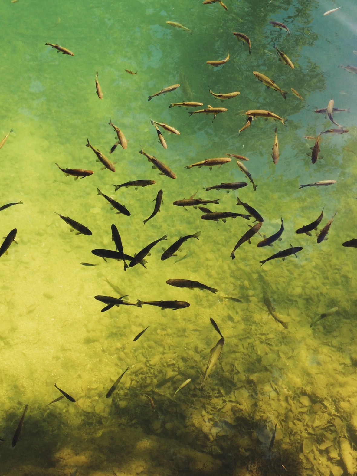 Processed with VSCOcam with lv01 preset