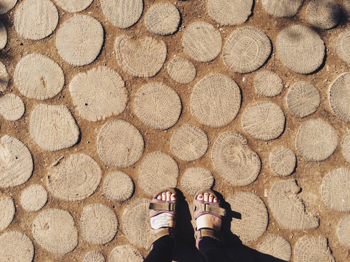 Processed with VSCOcam with lv01 preset