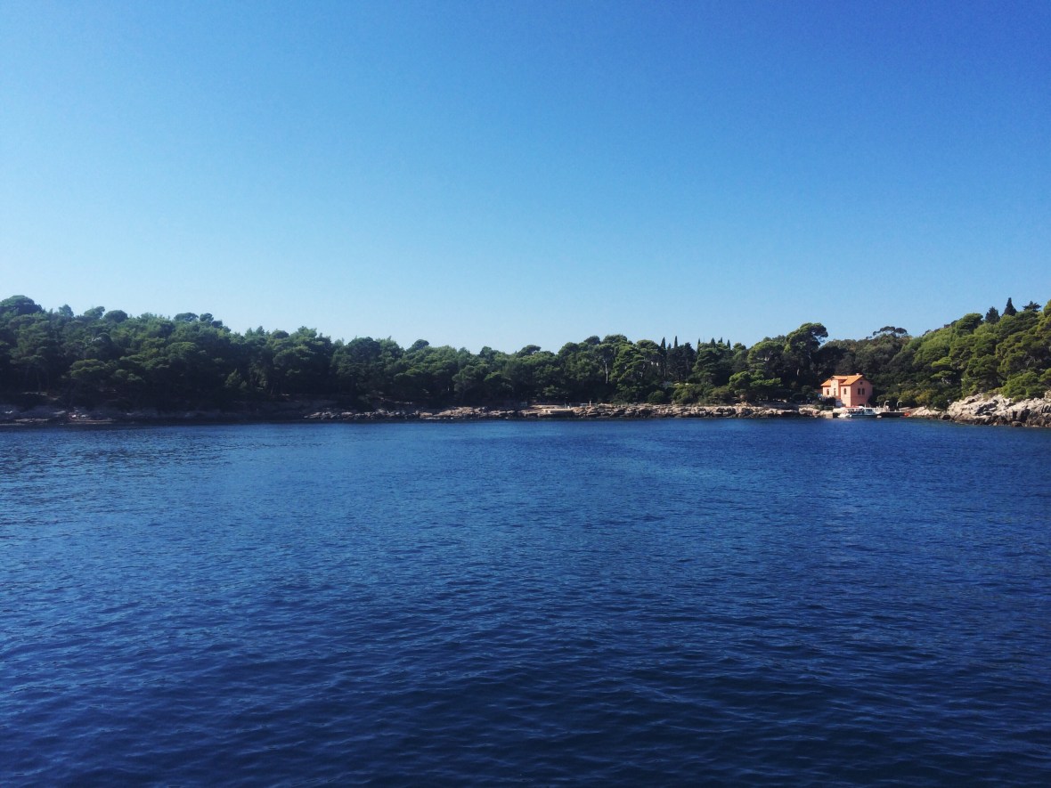 Processed with VSCOcam with lv01 preset