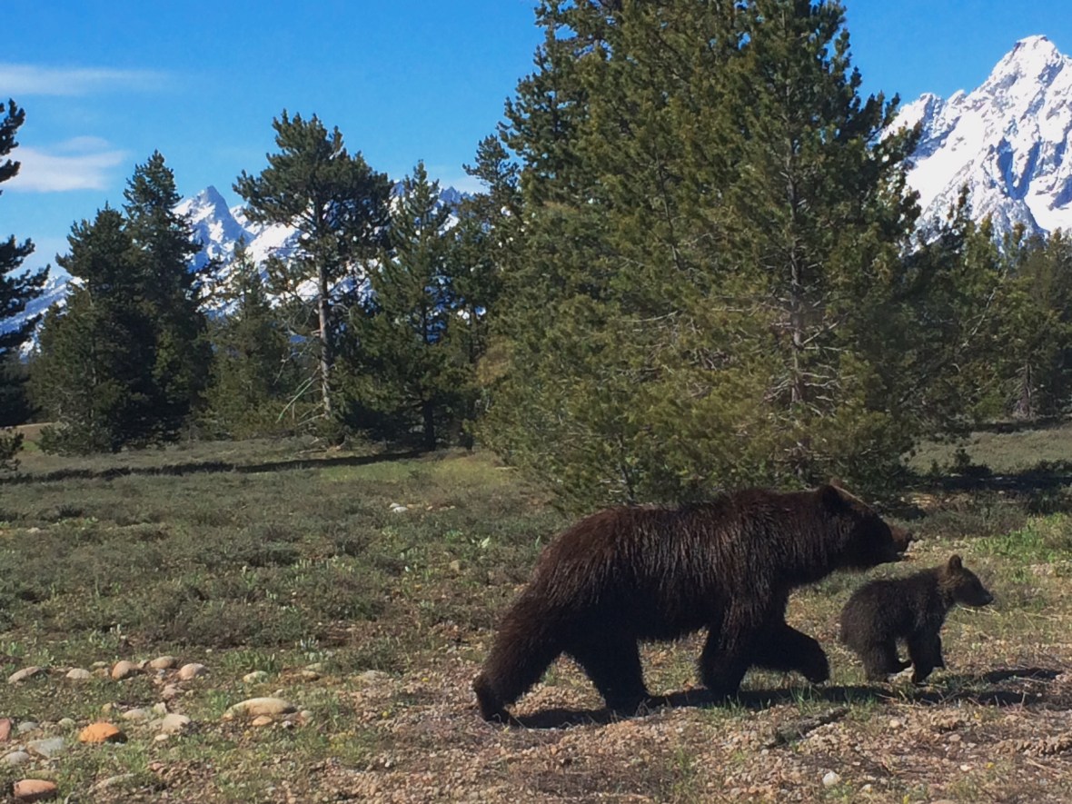 Processed with VSCOcam with wwf preset