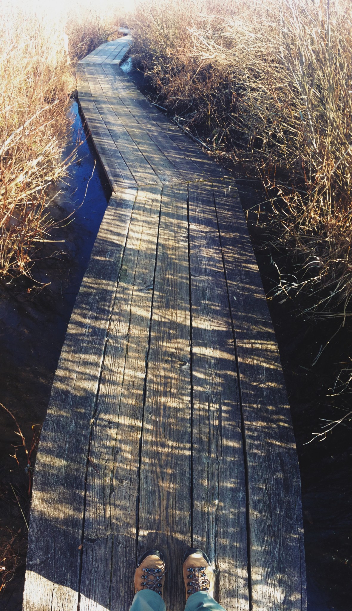 Processed with VSCO with lv01 preset